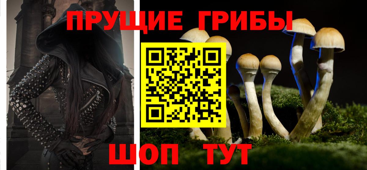Муром  Галлюциногенные грибы MAGIC MUSHROOMS  Вход с VPN 